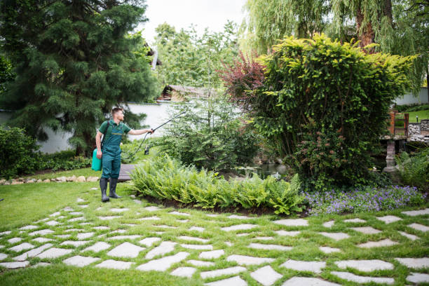 Best Lawn Watering Services  in Gnadenhutten, OH