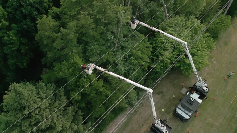 Best Storm Damage Tree Cleanup  in Gnadenhutten, OH